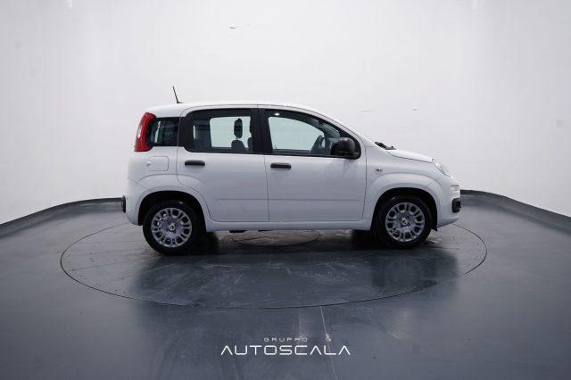 FIAT New Panda My25 1.0 FireFly S&S Hybrid