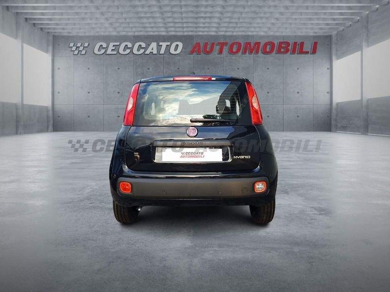 FIAT Panda Panda 1.0 firefly hybrid s&s 70cv