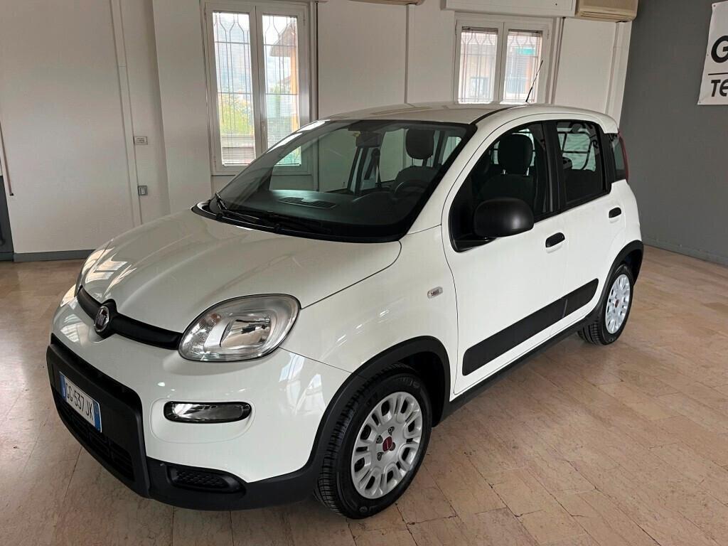 Fiat Panda Van 1.0 Hybrid Street 70Cv 5p. 4 posti Euro 6D