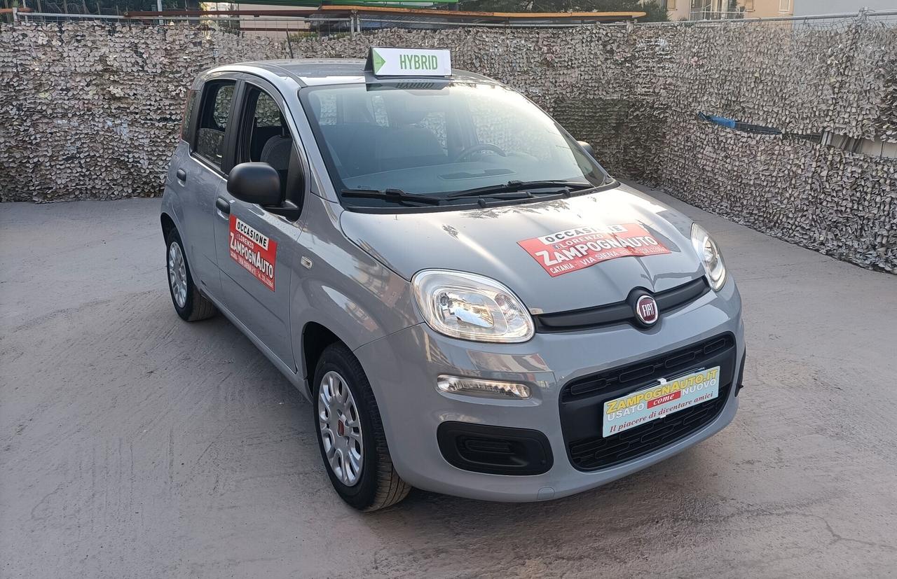 Fiat Panda 1.0 FireFly S&S Hybrid 2021 ZAMPOGNAUTO CT