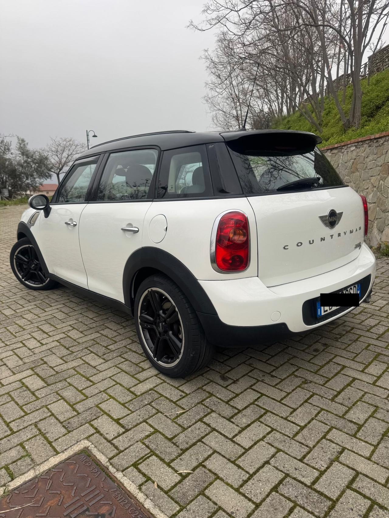 Mini Countryman 1.6 Diesel 110Cv 2010