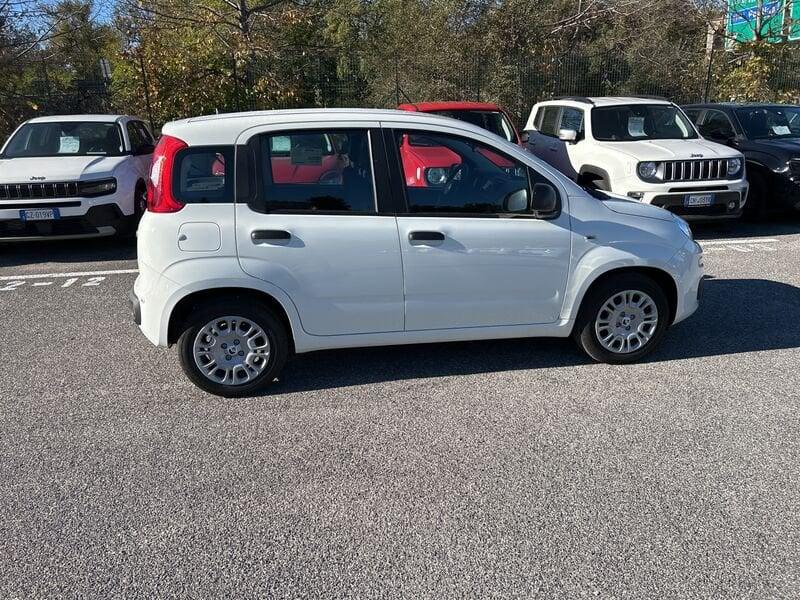 FIAT Panda New 1.0 70cv Hybrid Panda