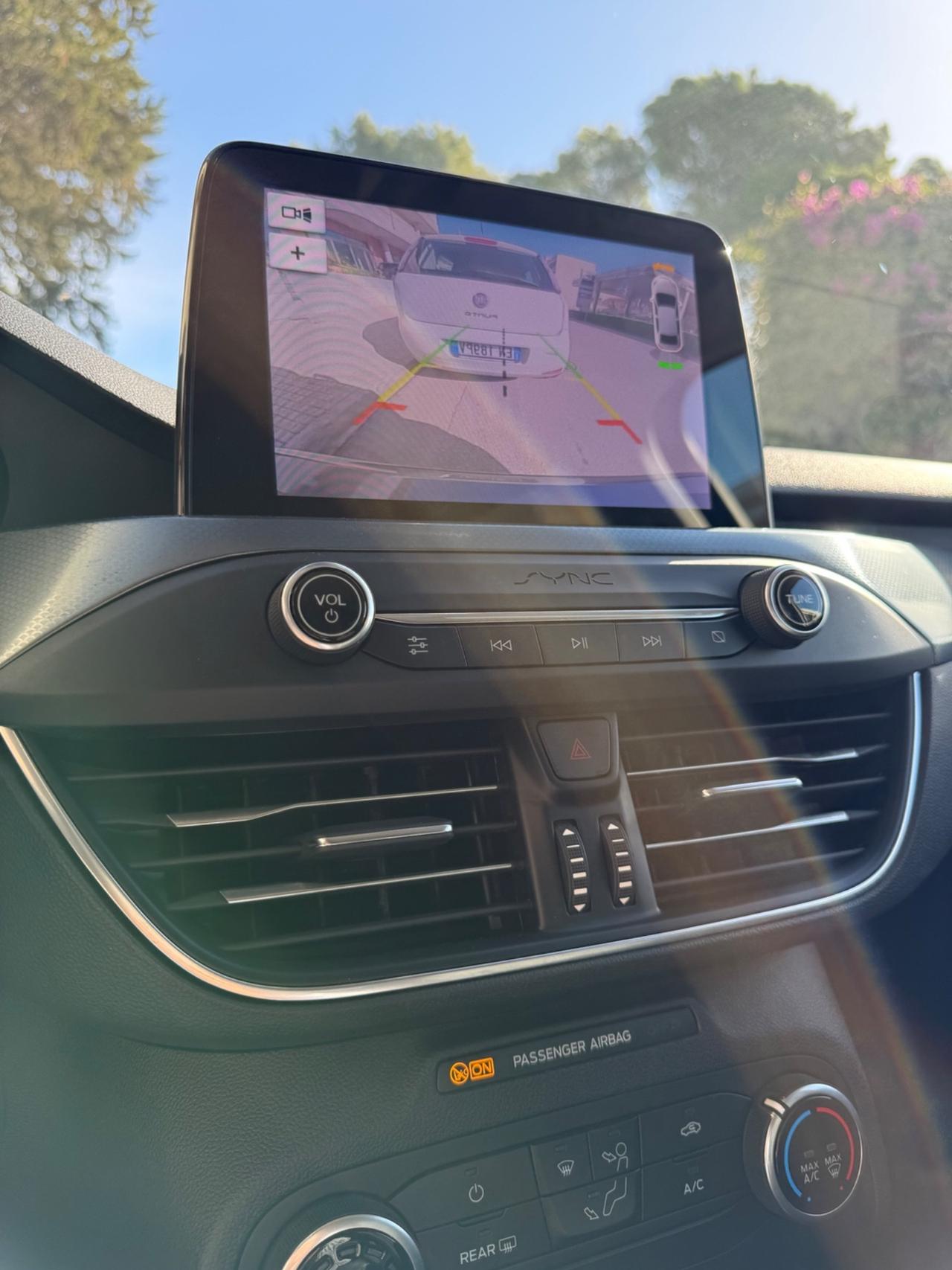 Ford Focus 1.5 EcoBlue 120 CV SW Active 2019