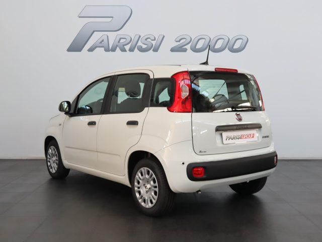 FIAT Panda 1.0 FireFly S&S Hybrid *PROMO PARISI GROUP*