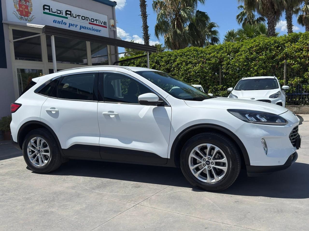 Ford Kuga 1.5 EcoBlue 120 CV aut. 2WD Titanium Business