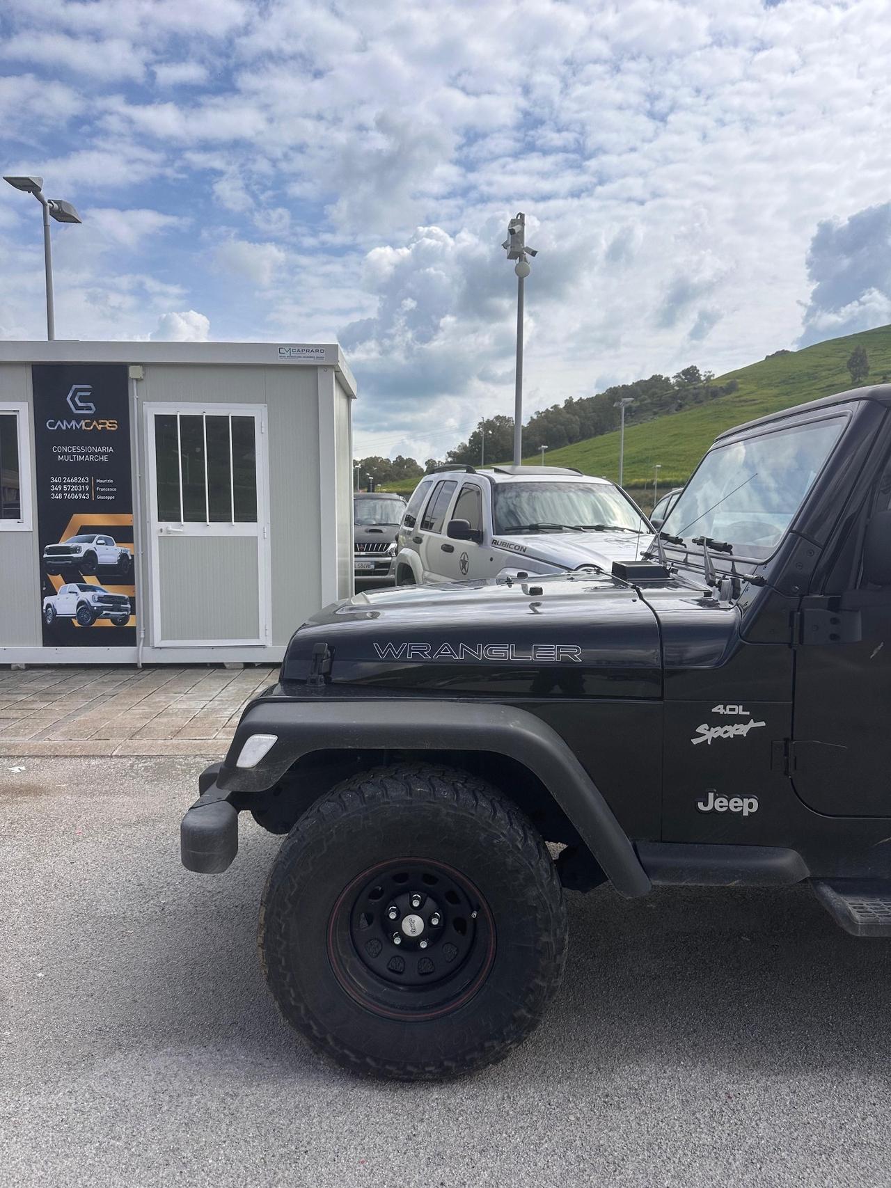 Jeep Wrangler 4.0 cat Sport