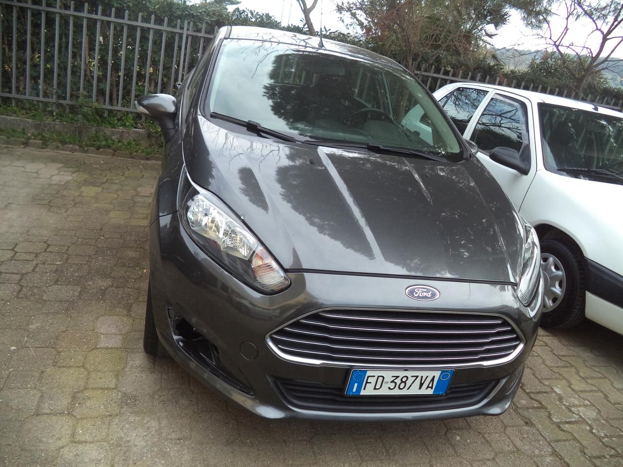 Ford Fiesta 1.5 TDCi 75CV 5 porte Black & White Edition