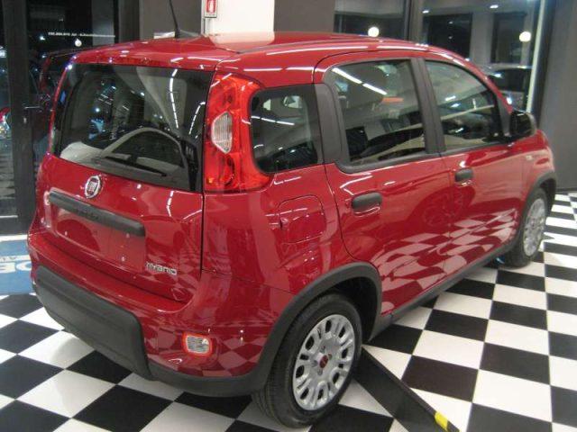 FIAT New Panda 1.0 FIREFLY S-S HYBRID CITY LIFE