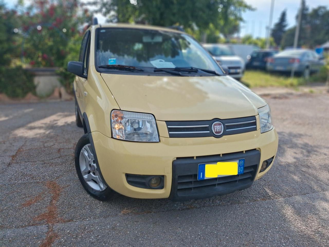 Fiat Panda 1.2 Climbing Natural Power