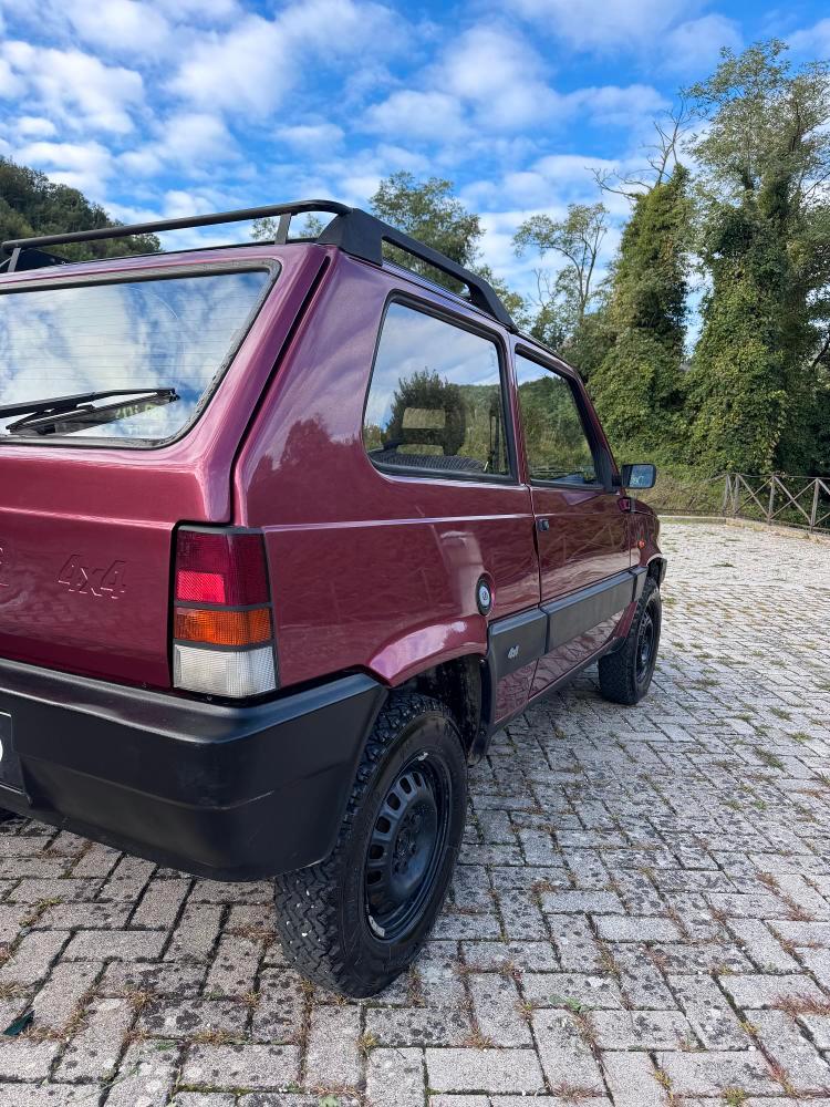 Fiat Panda 1.1 Fire Trekking 4x4 cat.