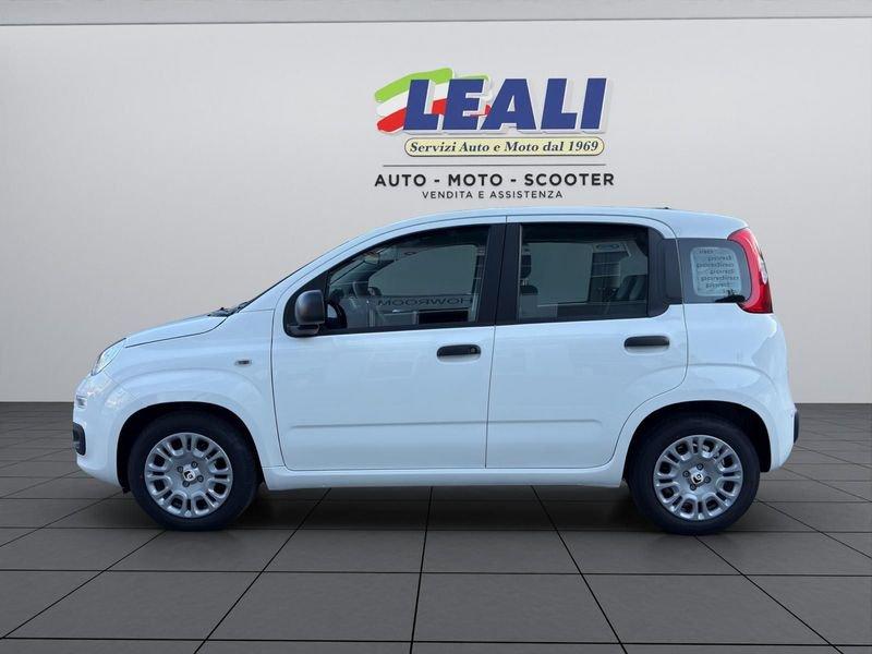 FIAT Pandina Pandina 5p 1.0 FireFly 65cv S&S 6m Hybrid Icon
