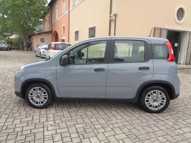Fiat Panda 1.0 FireFly S&S Hybrid 7500 km possibilità L. 104