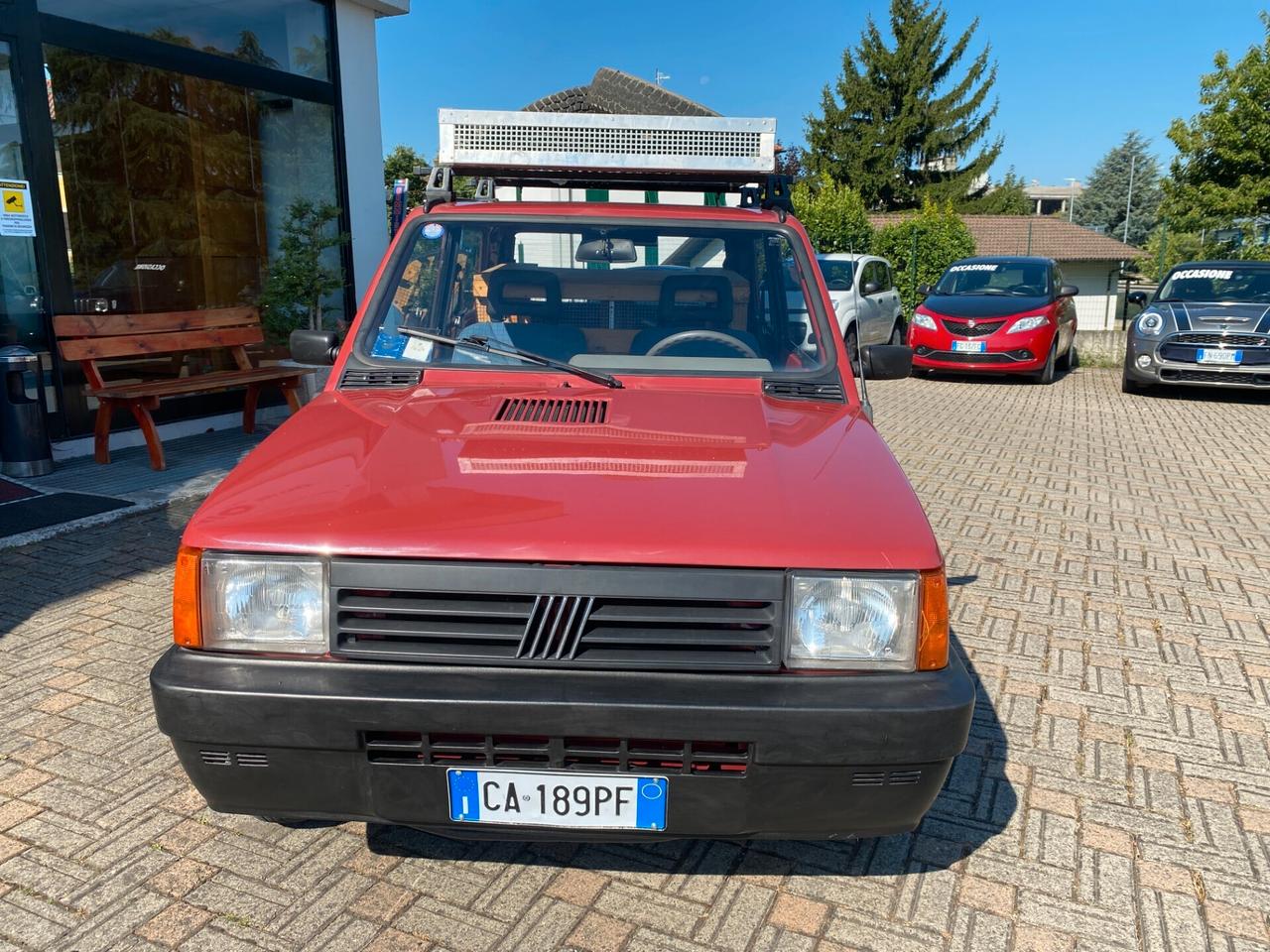 Fiat Panda 1100 i.e. cat Young