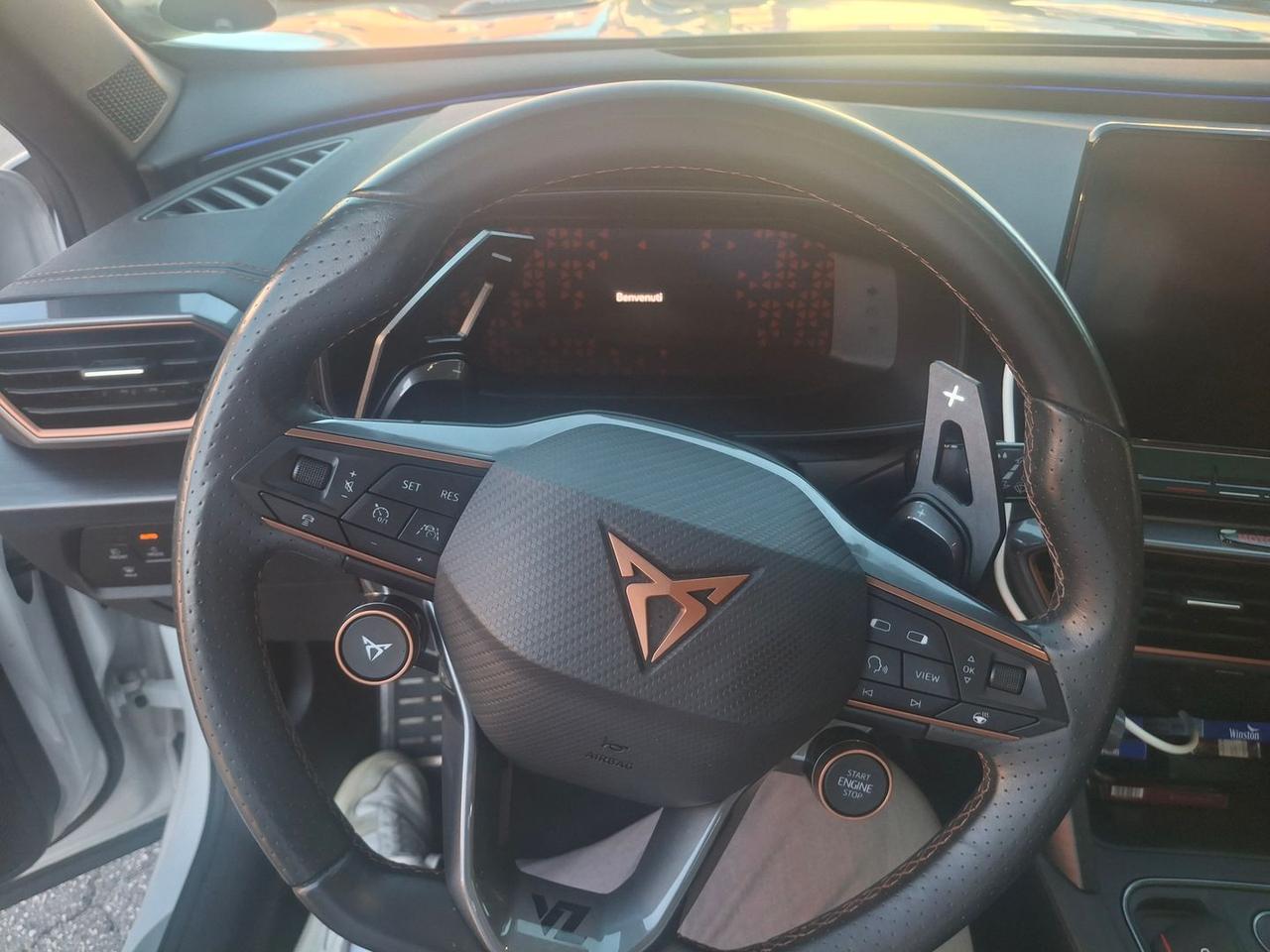 Cupra Formentor BAT 2.0 TSI #50382