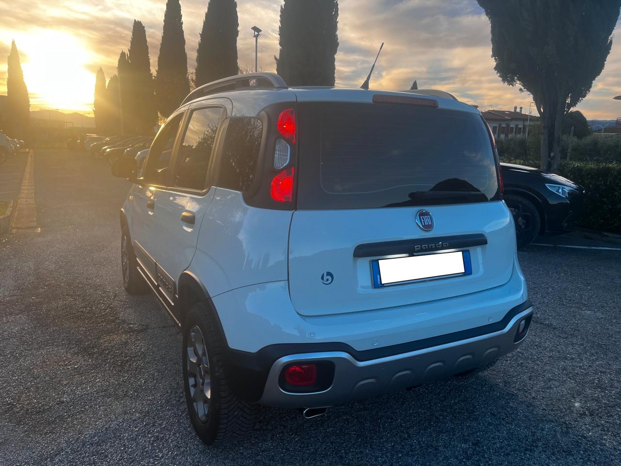 Fiat Panda Cross 1.3 MJT S&S 4x4