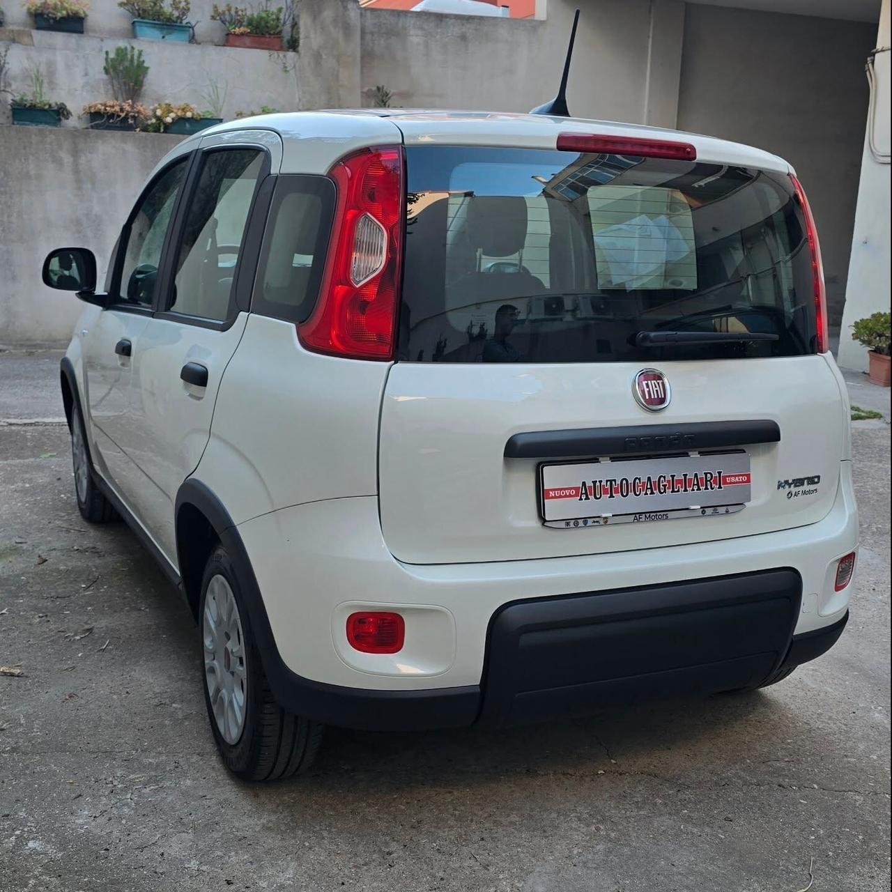 Fiat Panda 1.0 FireFly 70cv Hybrid City Life - 31.000 km
