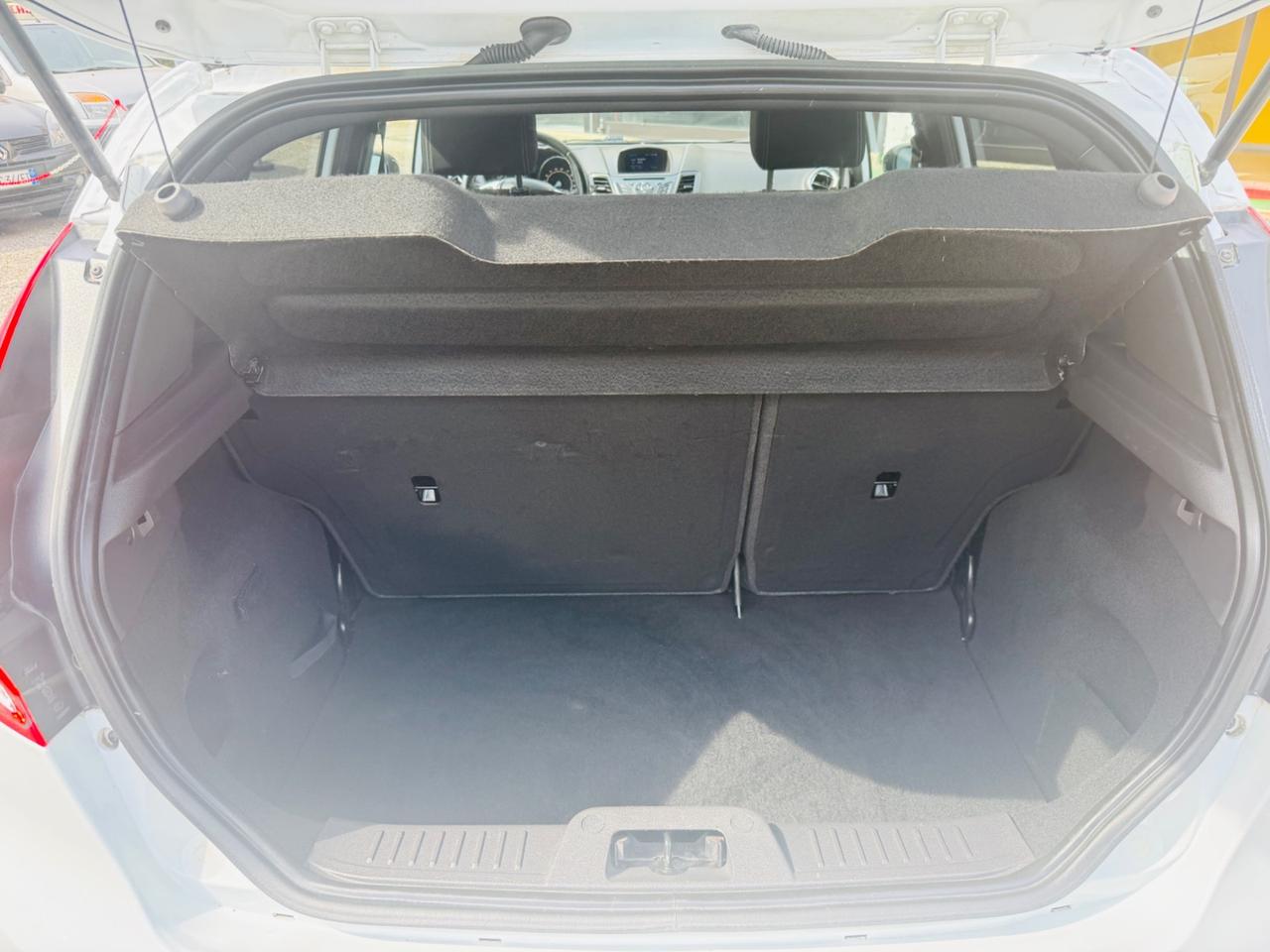 Ford Fiesta 1.2 B/GPL 82CV Black & White Edition