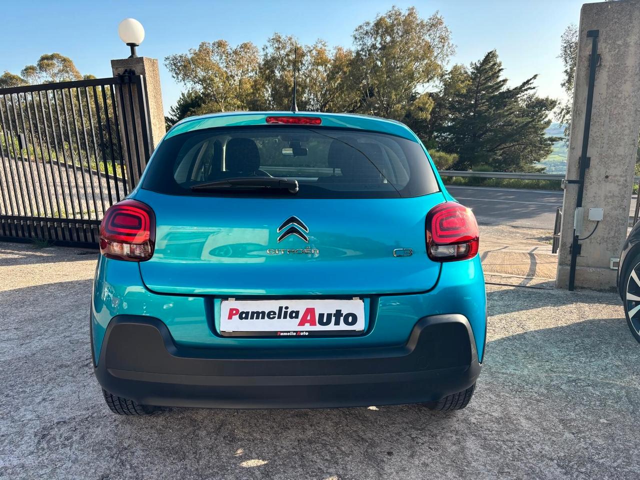 Citroen C3 BlueHDi 100cv N1 4 Posti - 2022