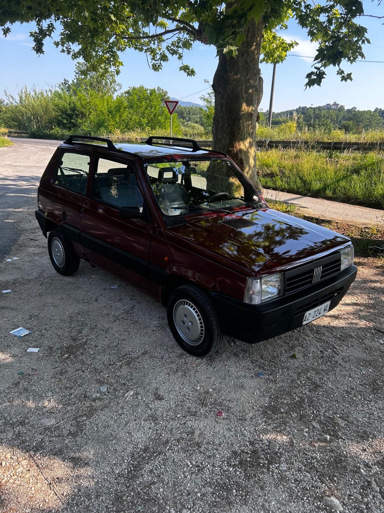 Fiat Panda 1100 i.e. cat Young