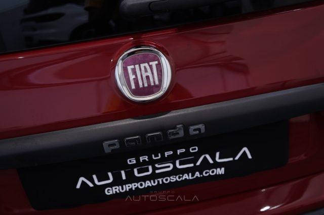 FIAT Panda 1.2 69cv Easy