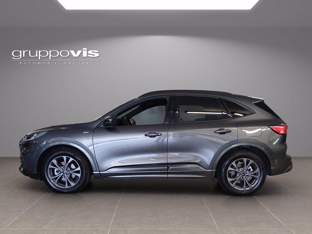 FORD Kuga full hybrid ST-Line 2wd Automatica del 2022