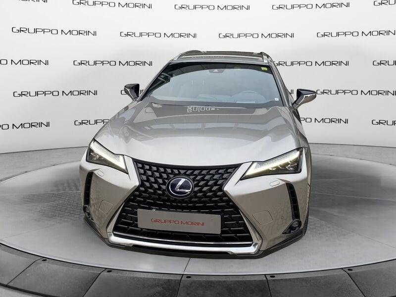 Lexus UX Hybrid 4WD Premium