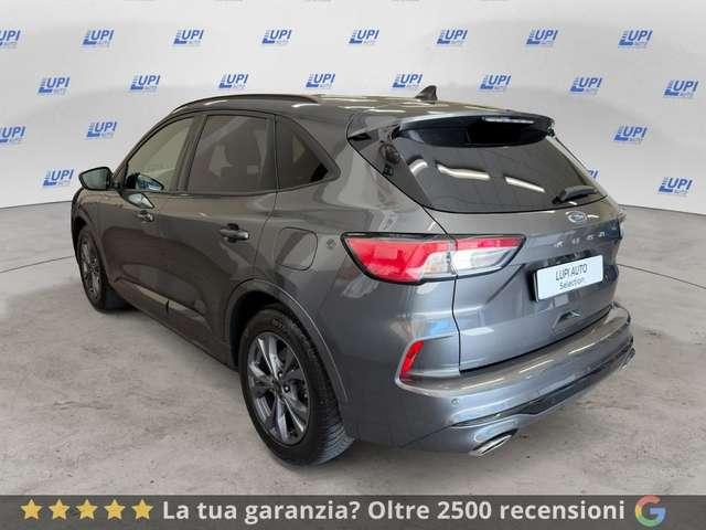 Ford Kuga 2.0 EcoBlue 120CV 2WD ST-Line X Auto