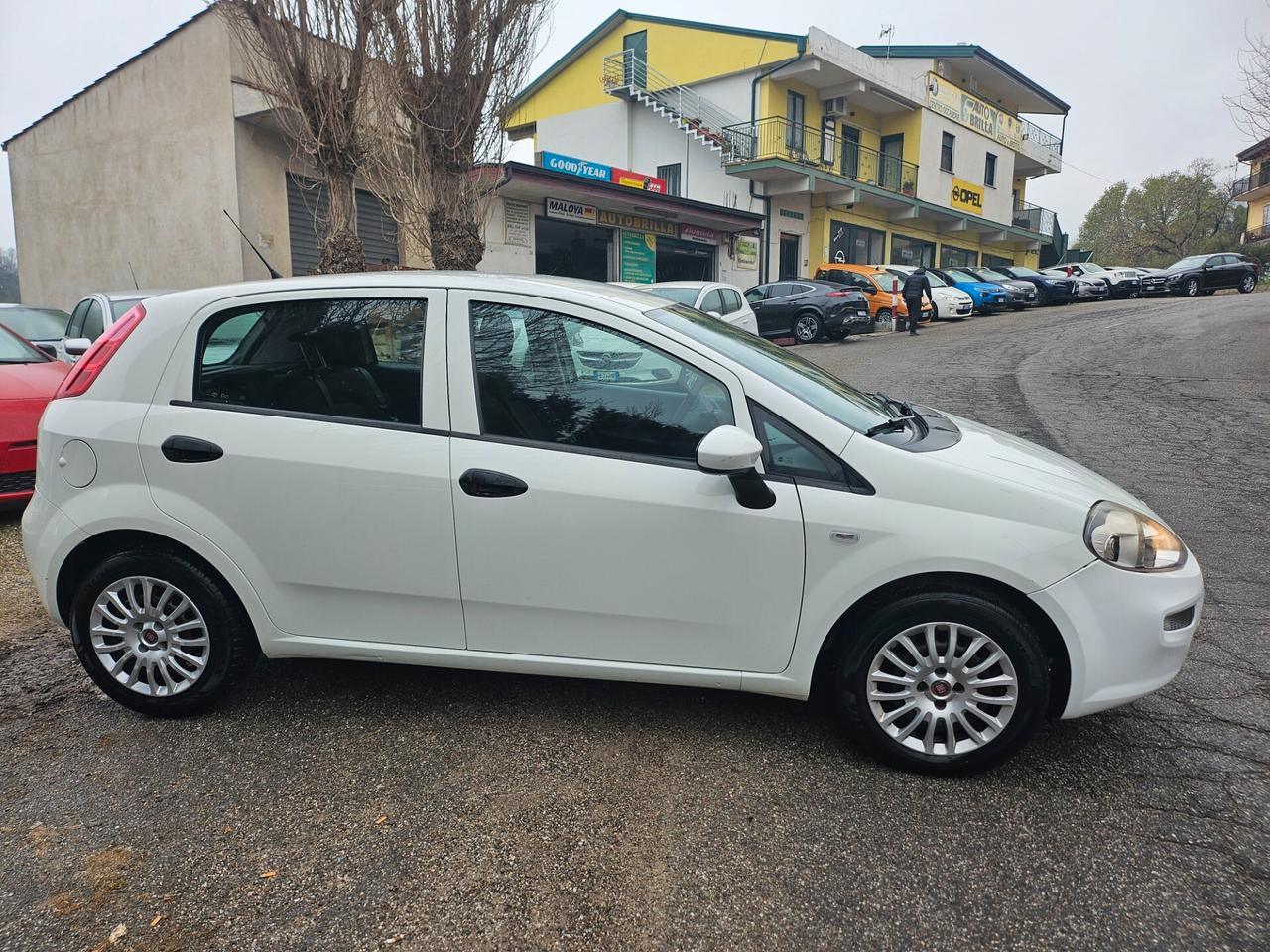 Fiat Punto 1.3 MJT II 75 CV 5 porte Street 2015