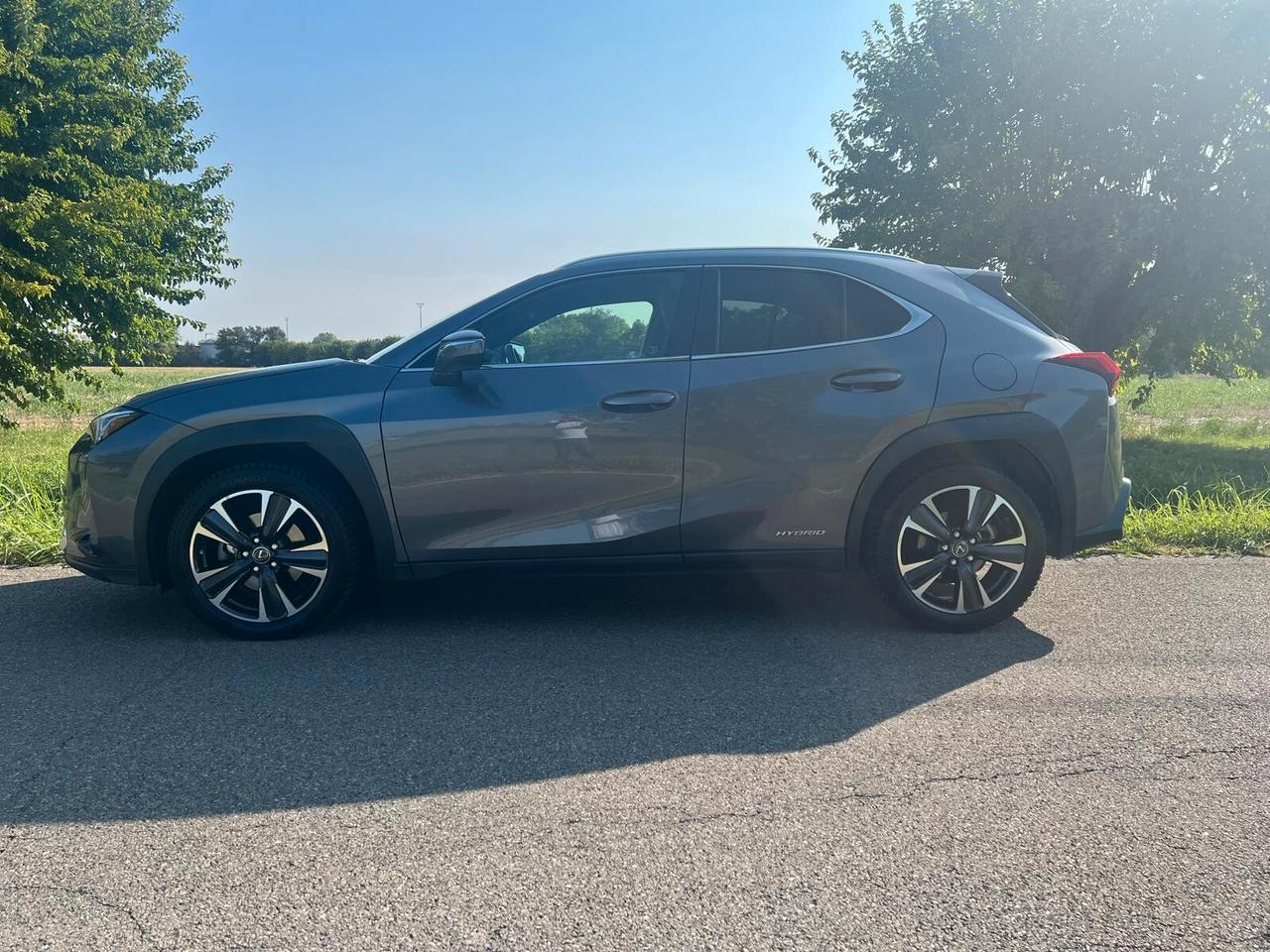 Lexus UX Hybrid 4WD Executive