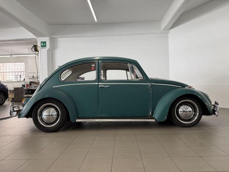Volkswagen Maggiolino