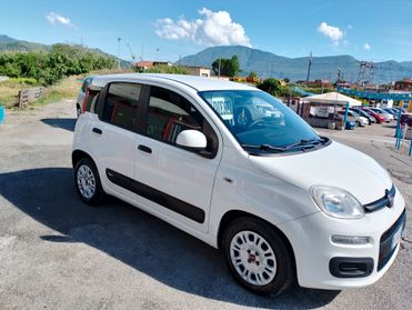 Fiat Panda 1.3 MJT 80 CV S&S Lounge