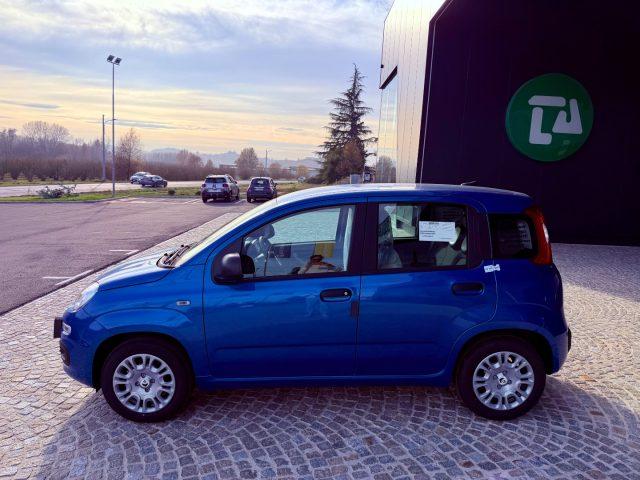 FIAT New Panda ICON - KM 0 10/2025- 5° POSTO - RADIO - SENSORI