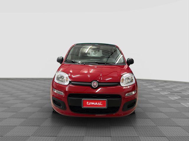 FIAT Panda Pandina 1.0 FireFly 65 CV Hybrid Icon