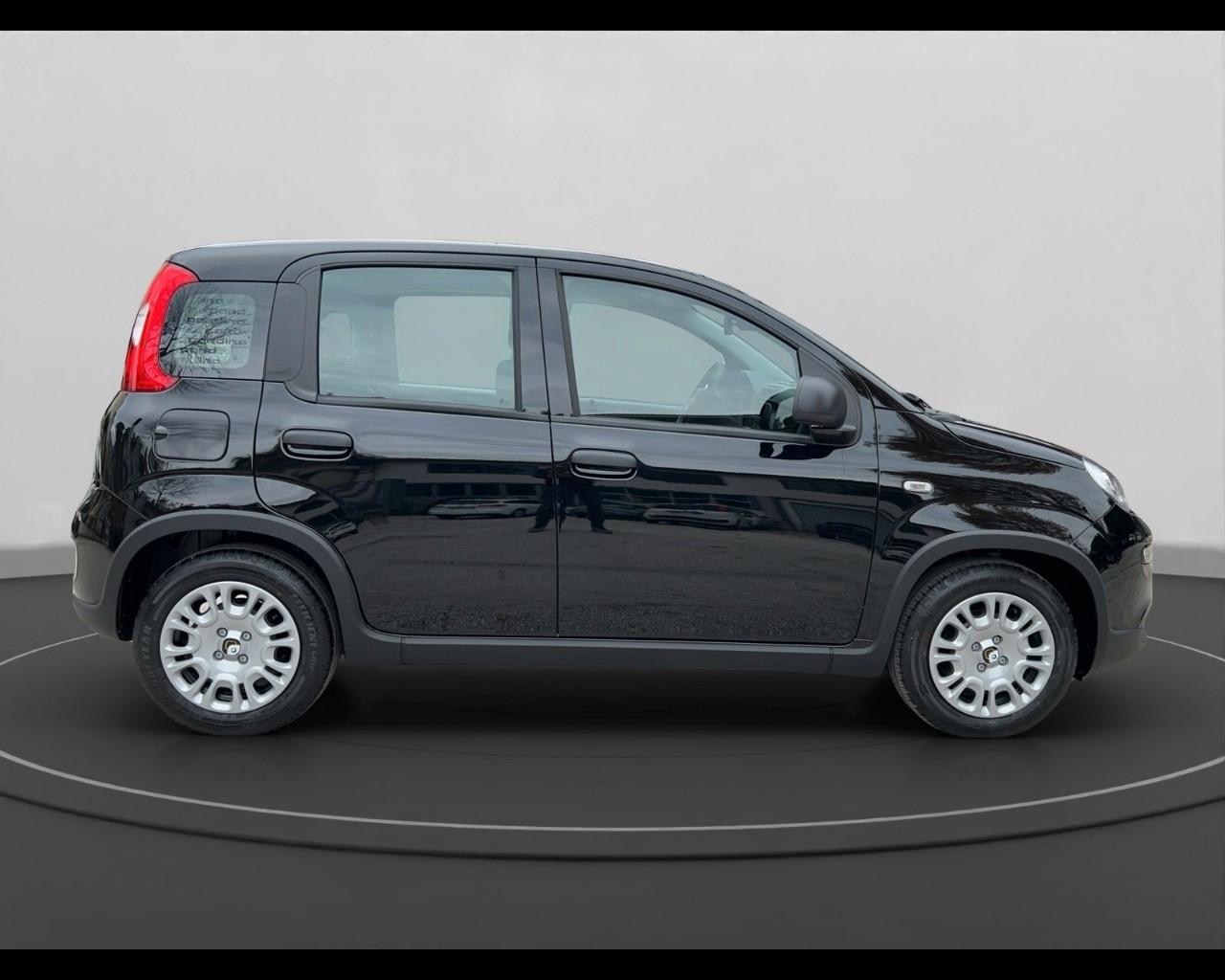 FIAT Panda III 2024 - Panda 1.0 firefly hybrid s&s 70cv