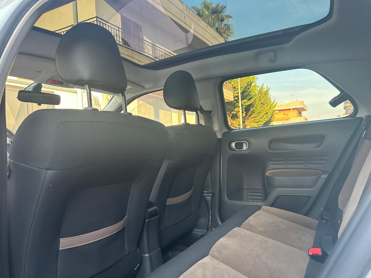 Citroen C4 Cactus BlueHDi 100 Rip Curl