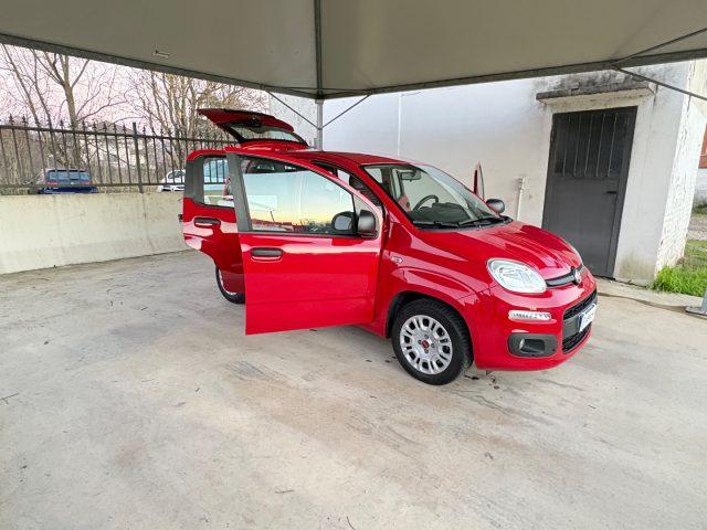 FIAT Panda 1.2 Pop UNICO PROPRIETARIO POCHI CHILOMETRI