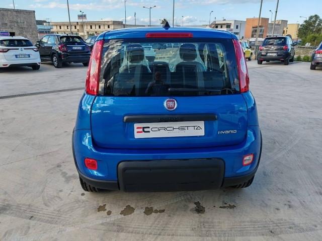 Fiat Panda III 1.0 firefly hybrid s&s 70cv