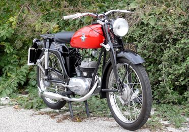 Mv Agusta 125 Forcella Parallelogramma (M0619)