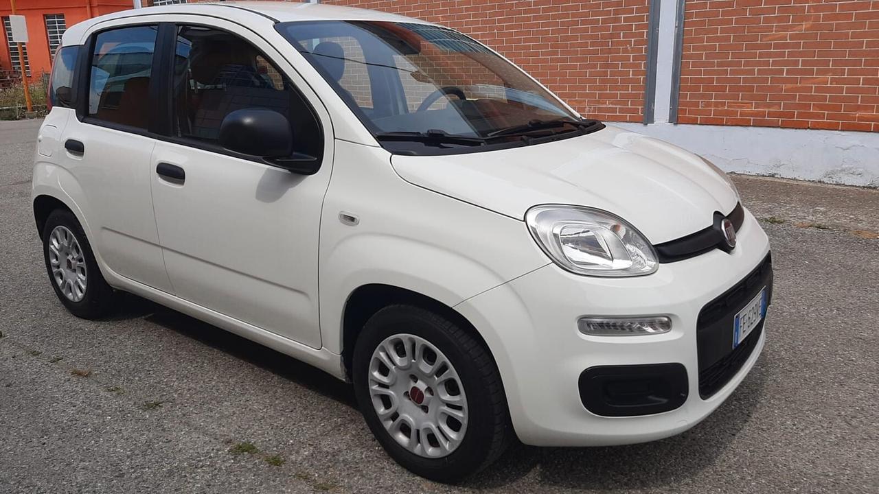 FIAT PANDA 1.2 Easy 2016 neopatentati