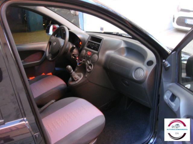 FIAT - Panda - 1.2 Dynamic