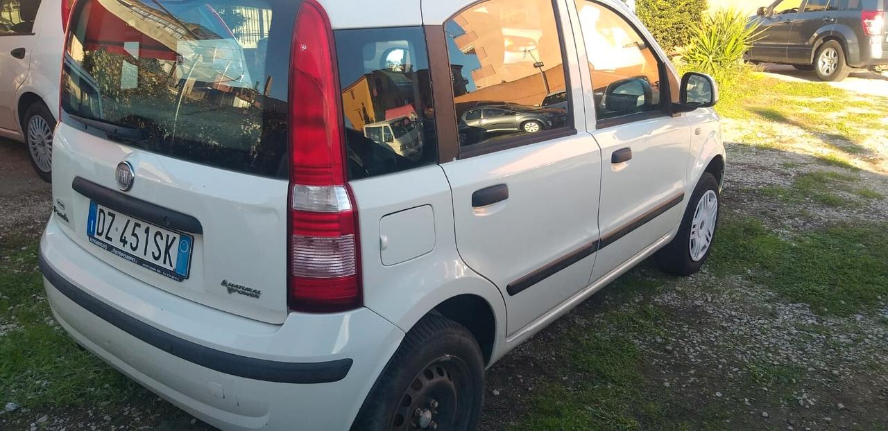 Fiat Panda 1.2 Dynamic Natural Power anno 2010