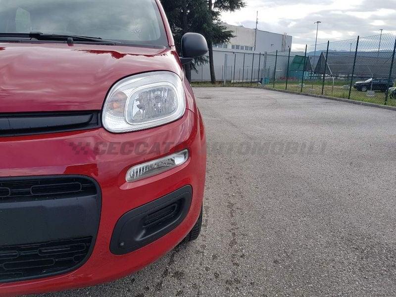 FIAT Panda Panda 1.0 70cv Hybrid Pop