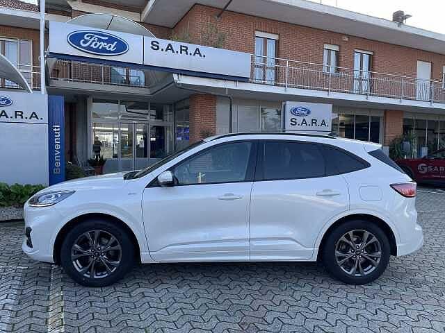 Ford Kuga 1.5 EcoBlue 120 CV 2WD ST-Line X