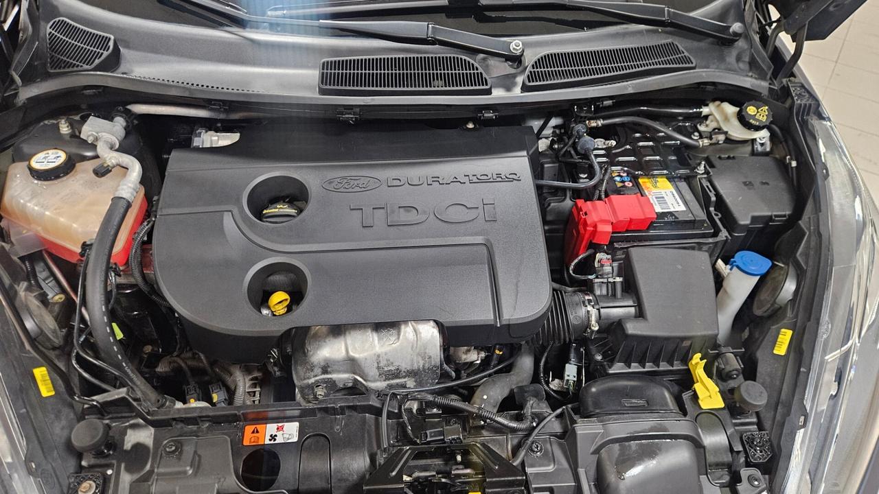 Ford Fiesta 1.5 TDCi 75CV 5 porte