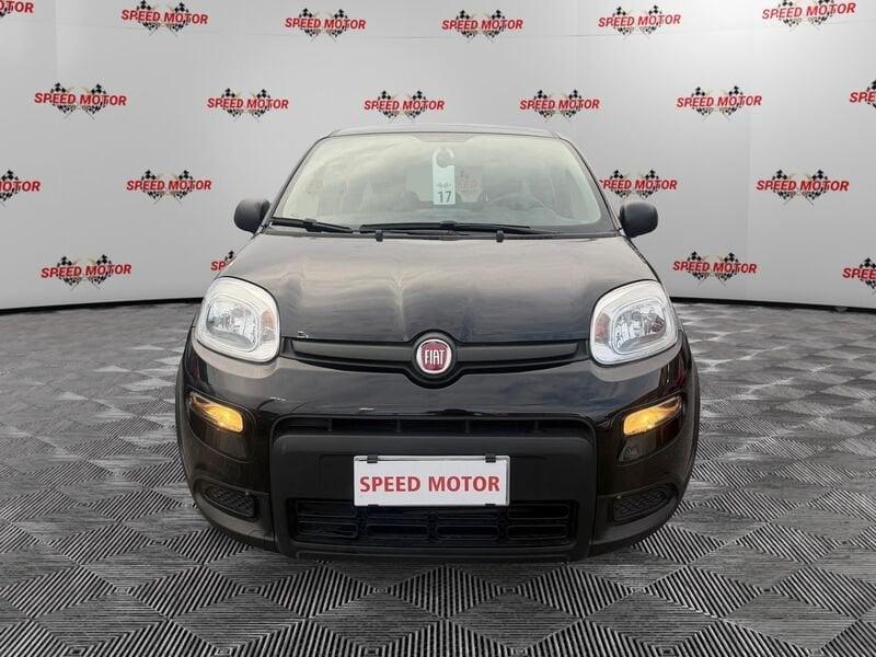 FIAT Panda Panda 1.0 firefly hybrid 70cv 5 POSTI, SENSORI PARCHEGGIO!