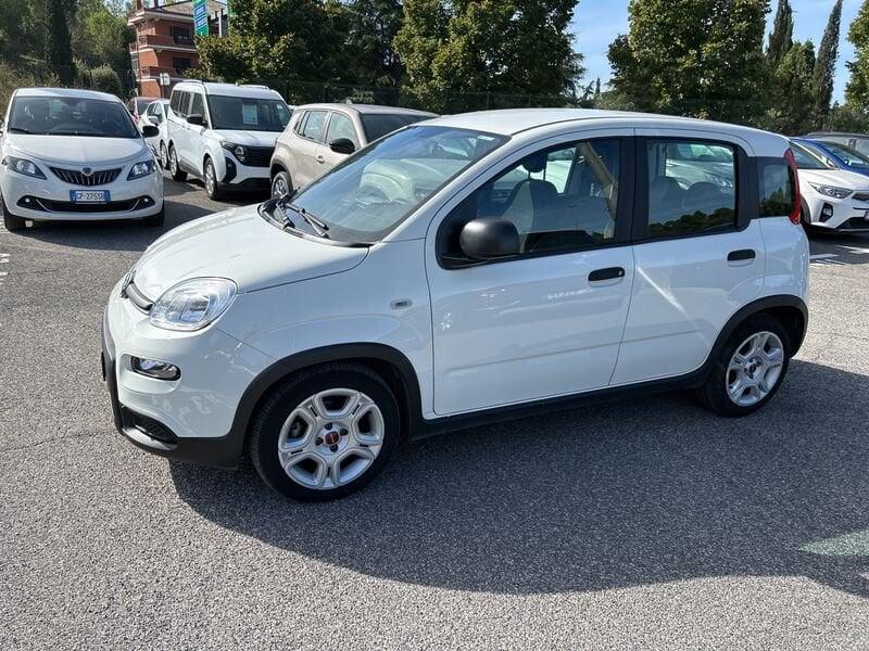 FIAT Panda New My23 1.0 70cv Hybrid Panda