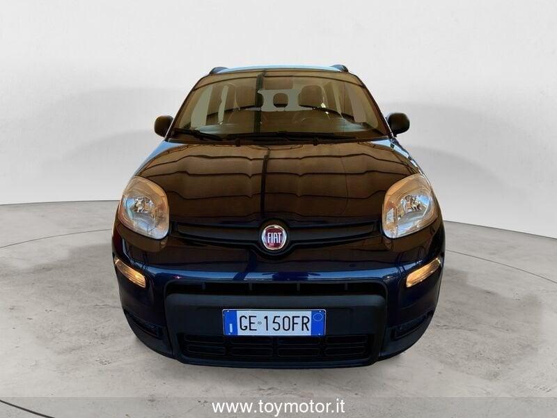 FIAT Panda 3ª serie 1.0 FireFly S&S Hybrid City Life