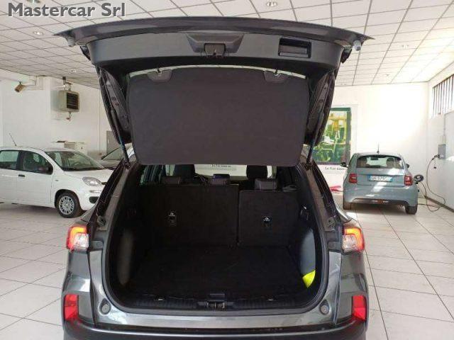 FORD Kuga Kuga 2020 1.5 ecoblue Titanium Business 2wd 120cv
