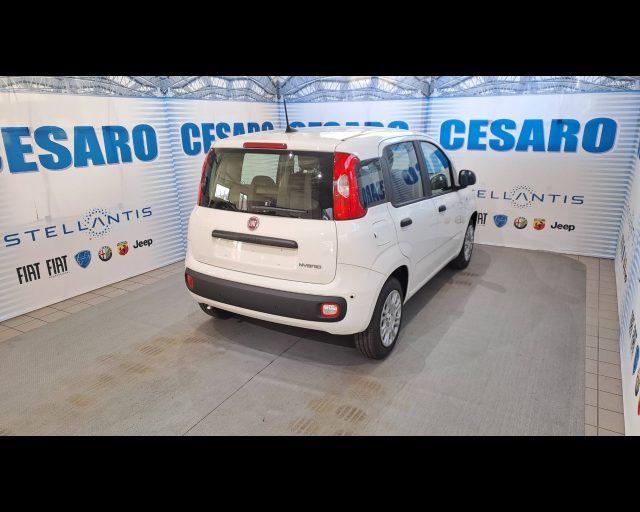 FIAT Panda 1.0 firefly hybrid Icon s&s 70cv 5p.ti