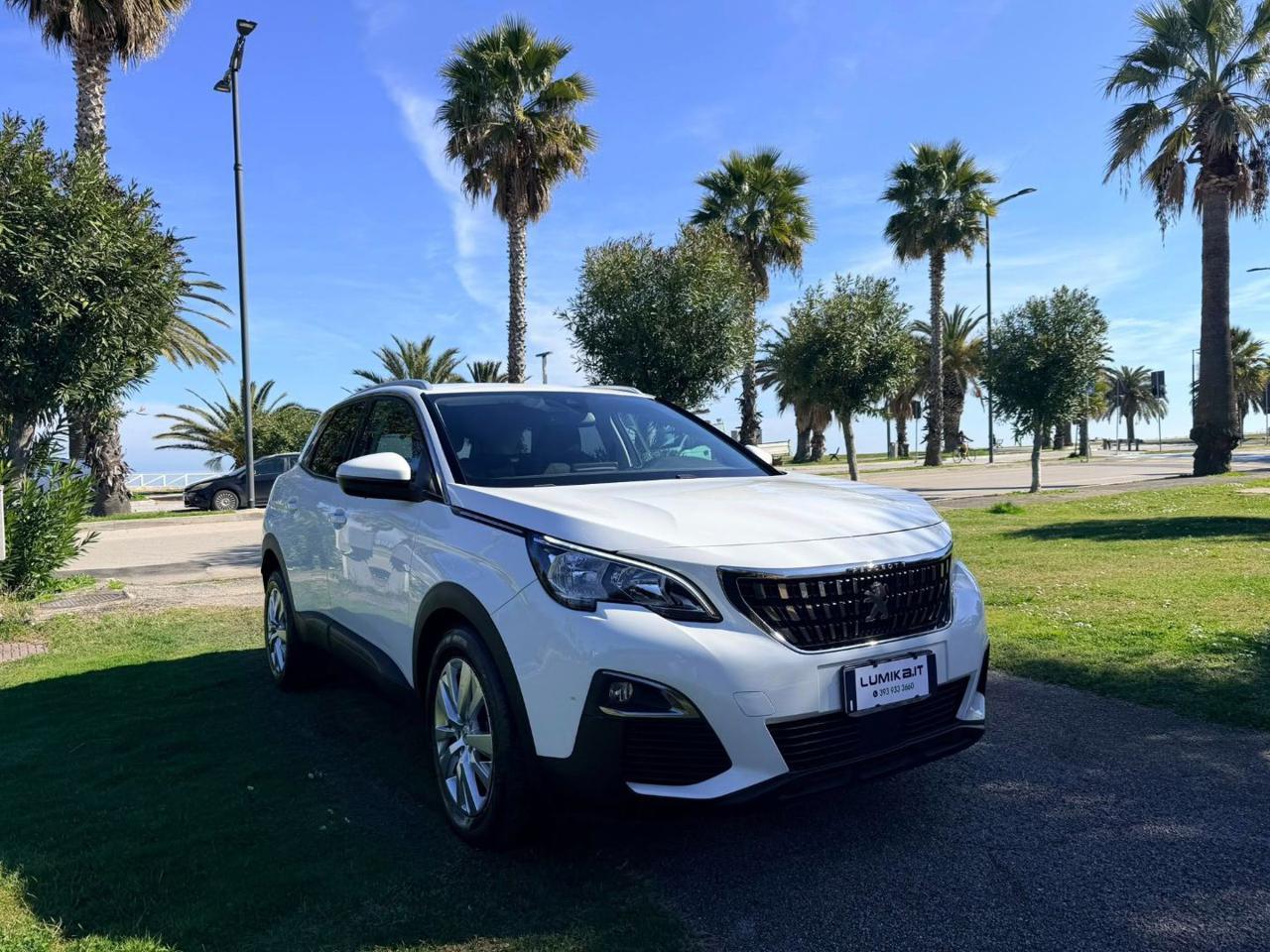 Peugeot 3008 3008 1.6 bluehdi Active s&s 120cv